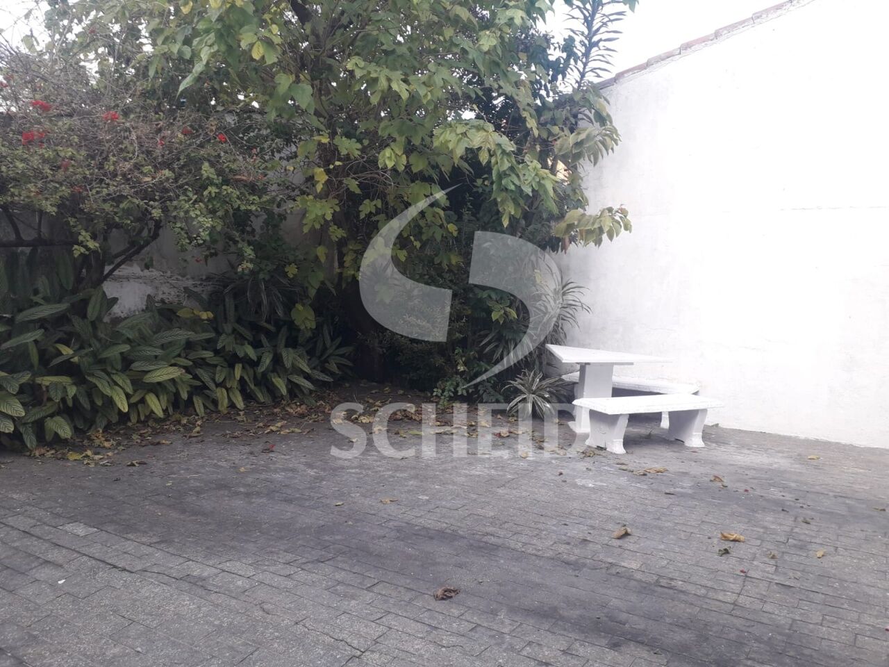 Foto 14