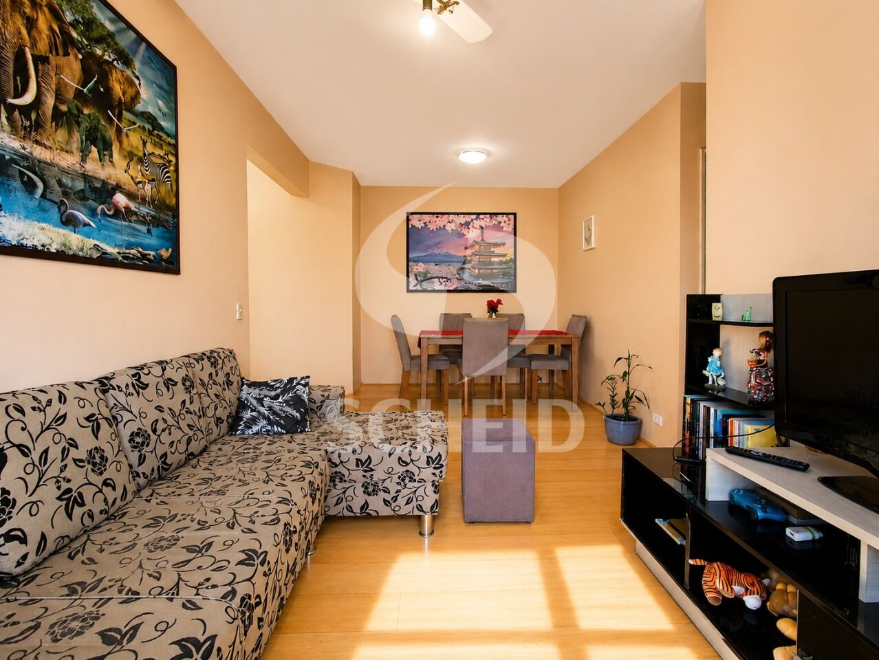 Foto 1