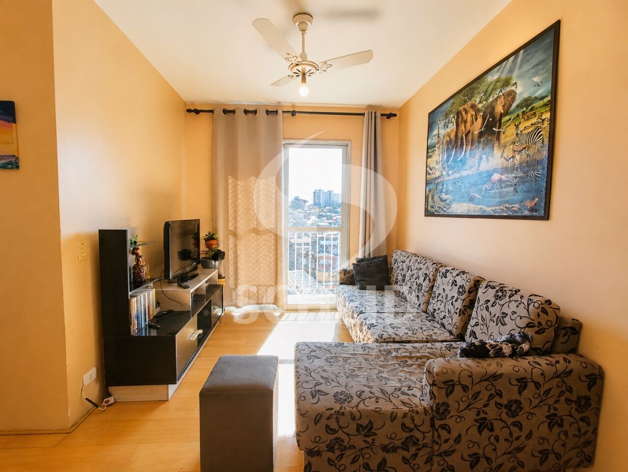 Foto 3