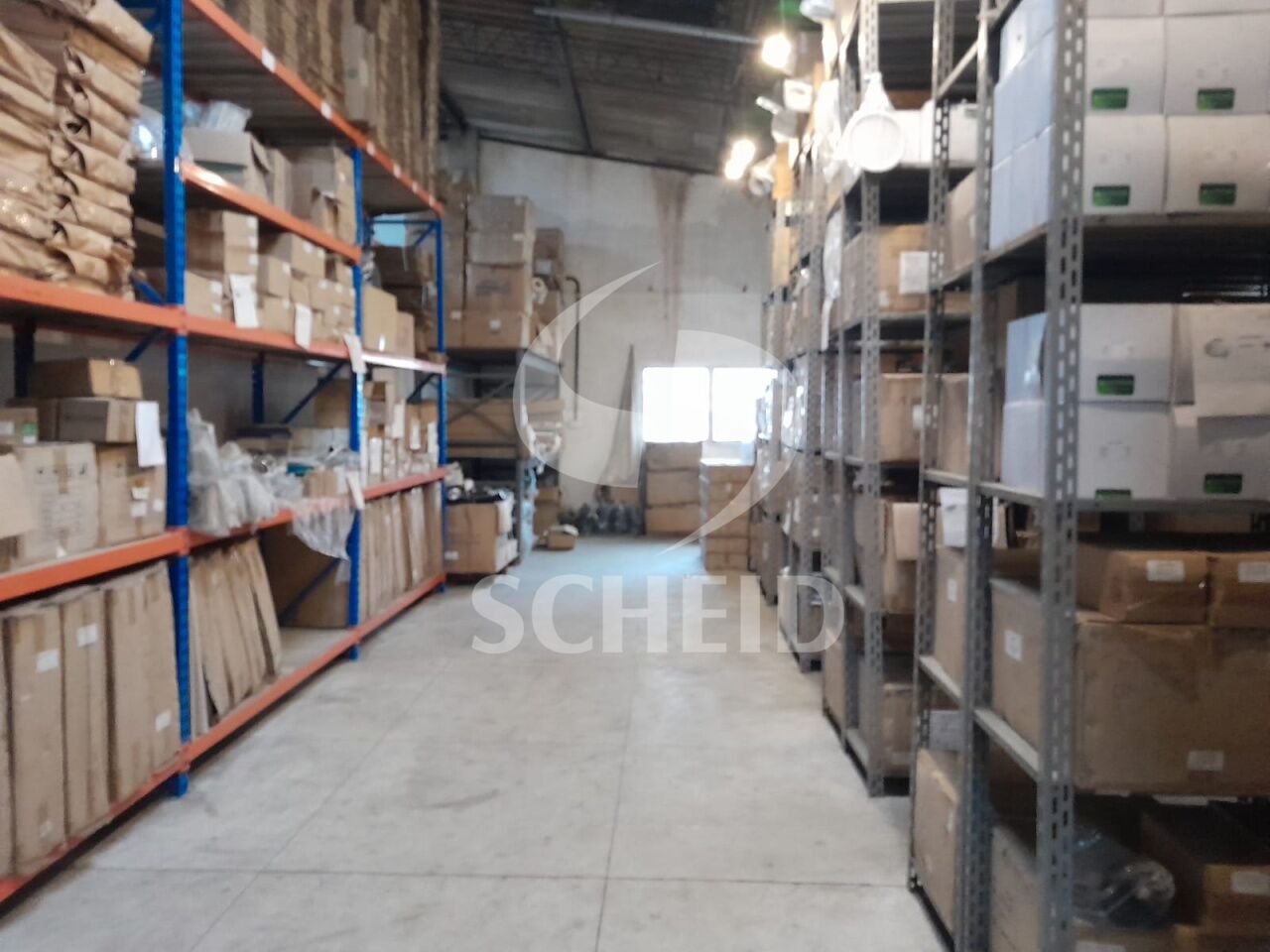 Foto 13