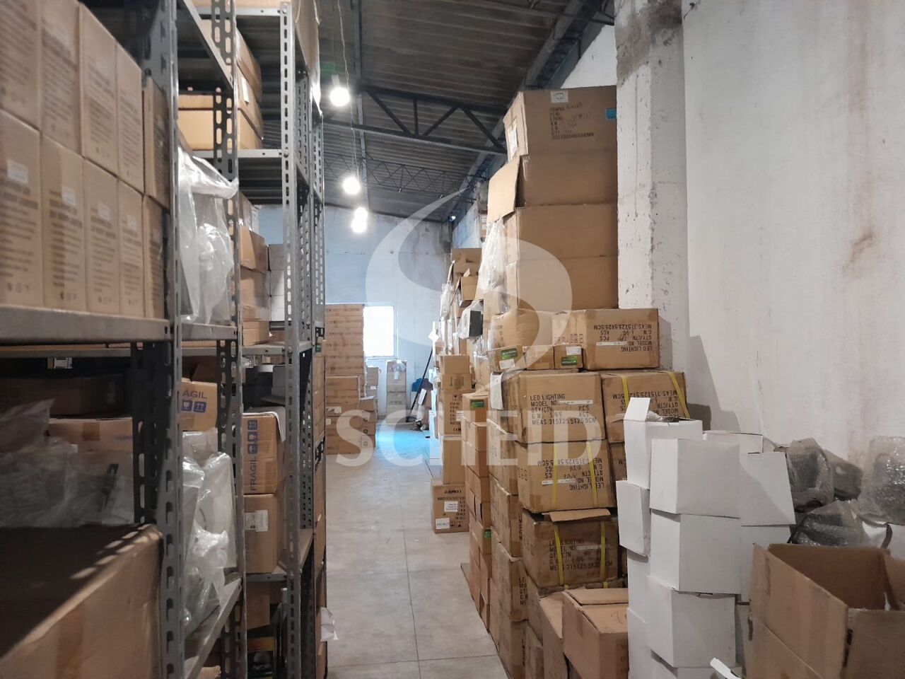 Foto 12