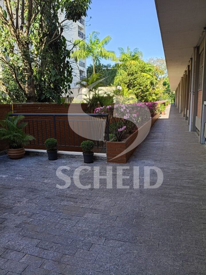 Foto 19