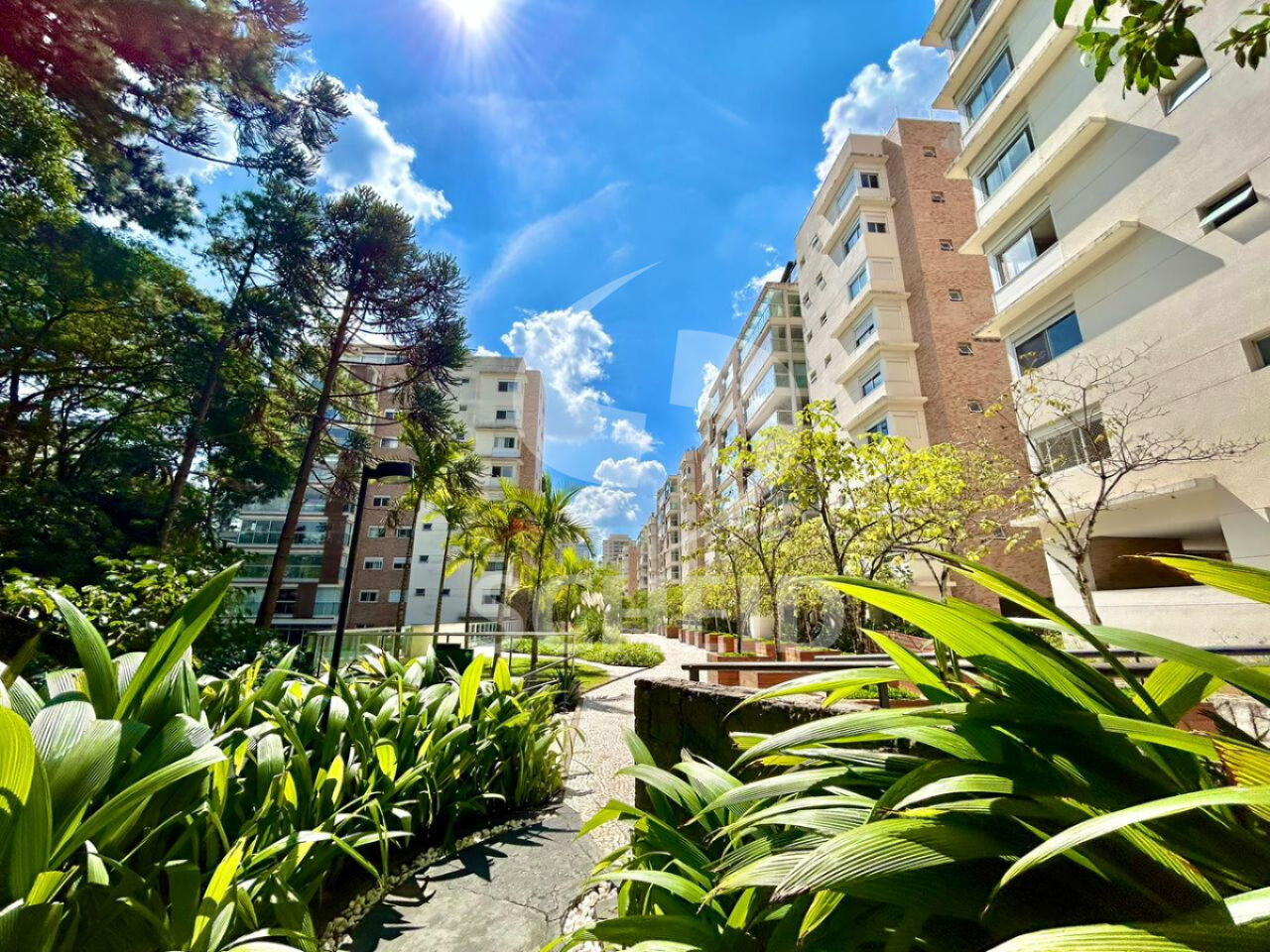 Foto 49