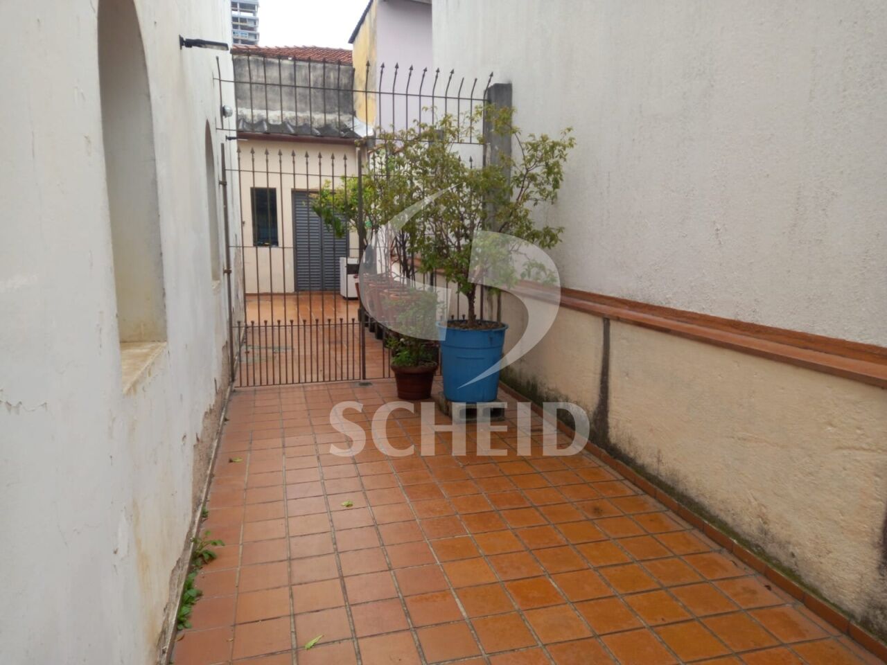Foto 21