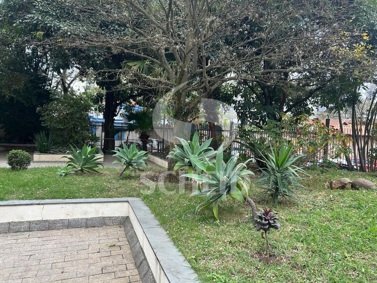Foto 23