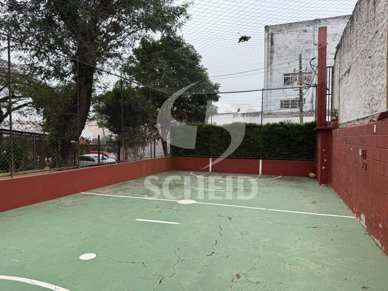 Foto 22