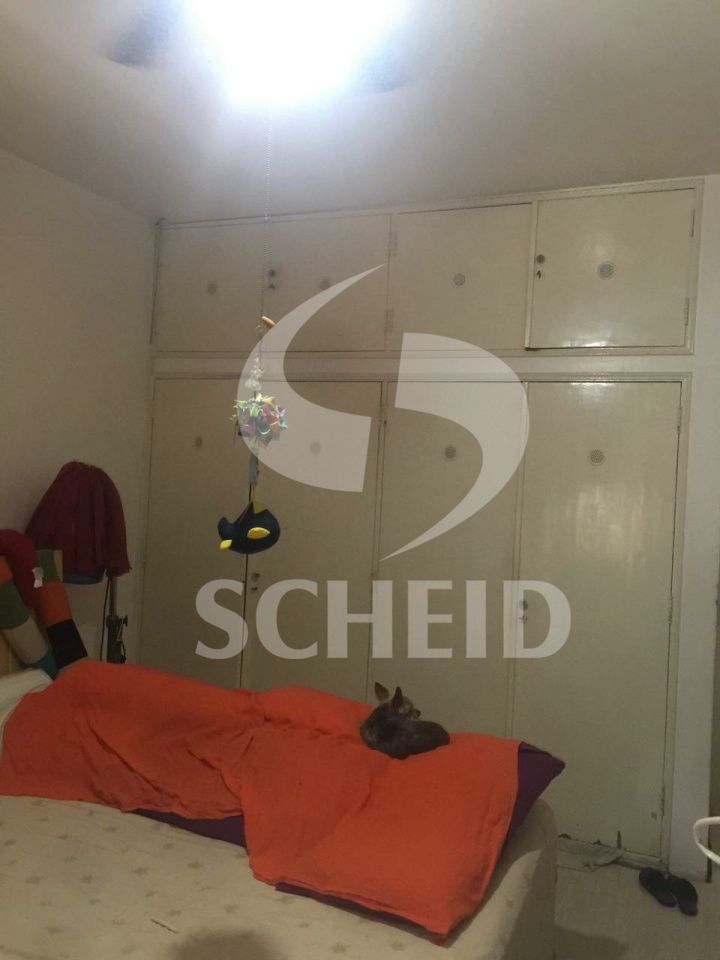 Foto 21