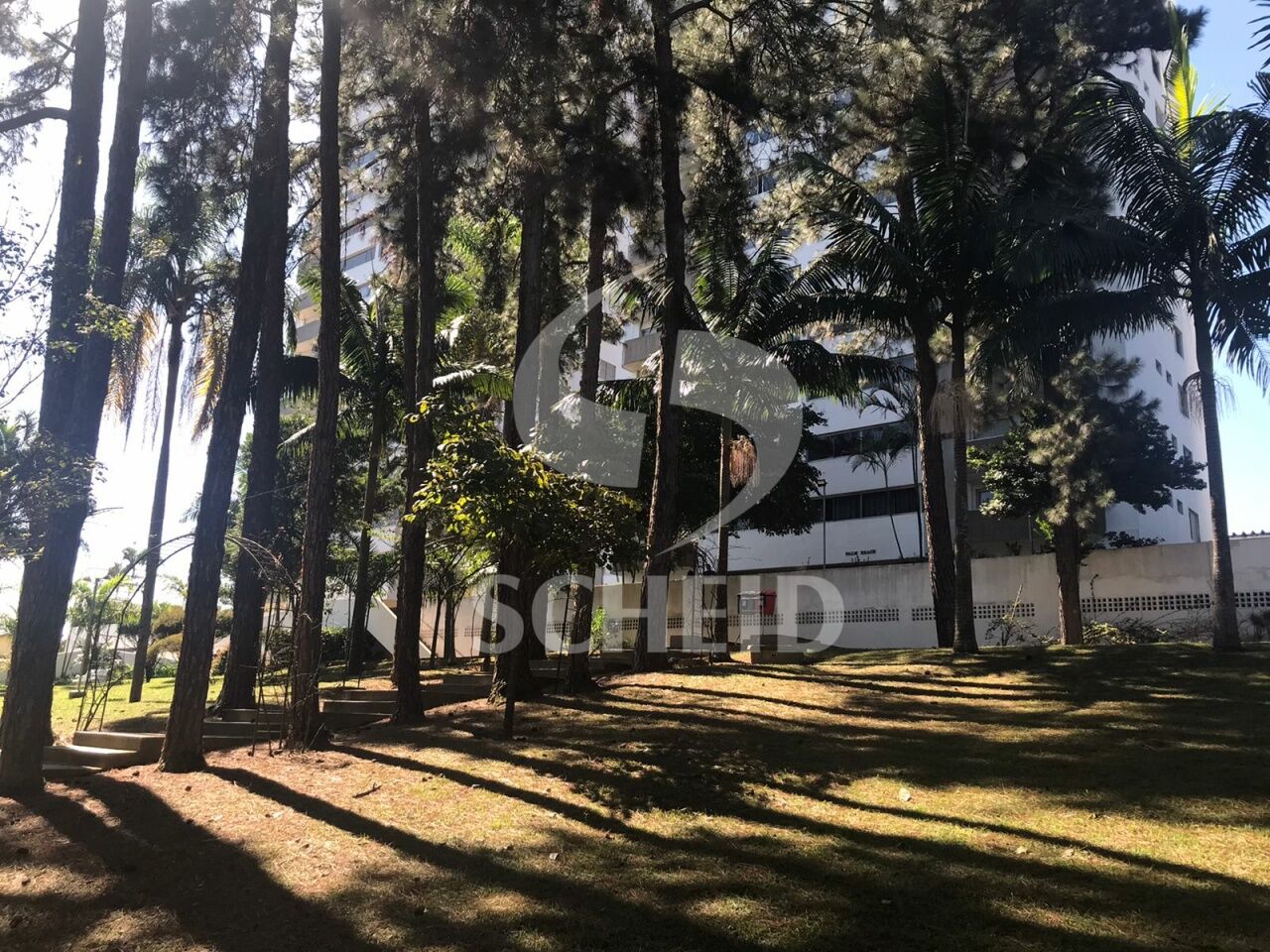 Foto 28