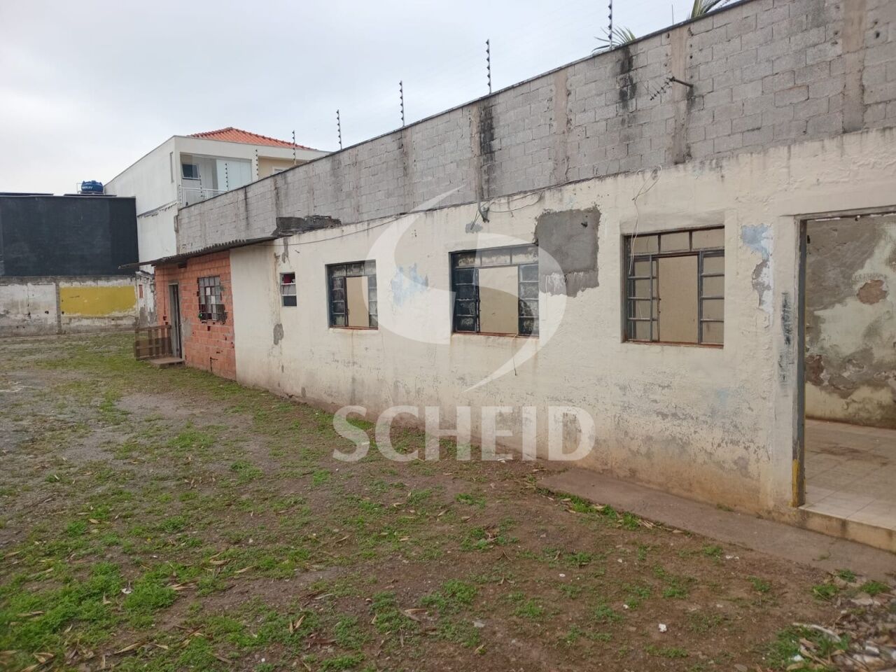 Foto 6
