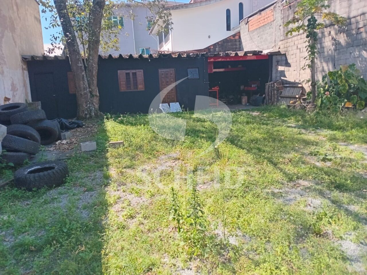 Foto 1