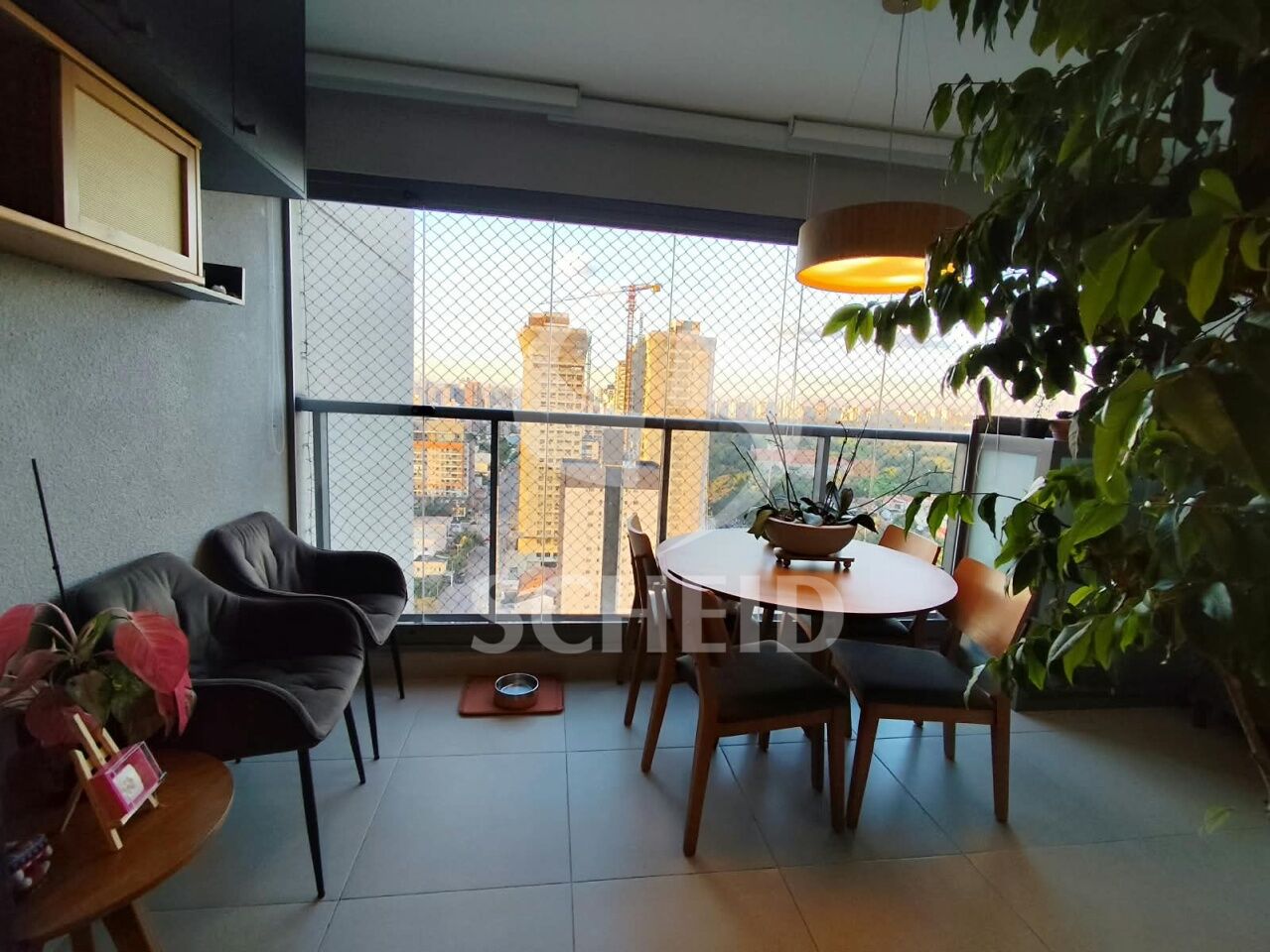 Foto 7