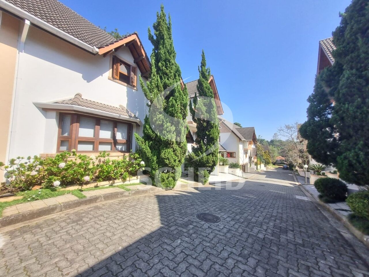Foto 19