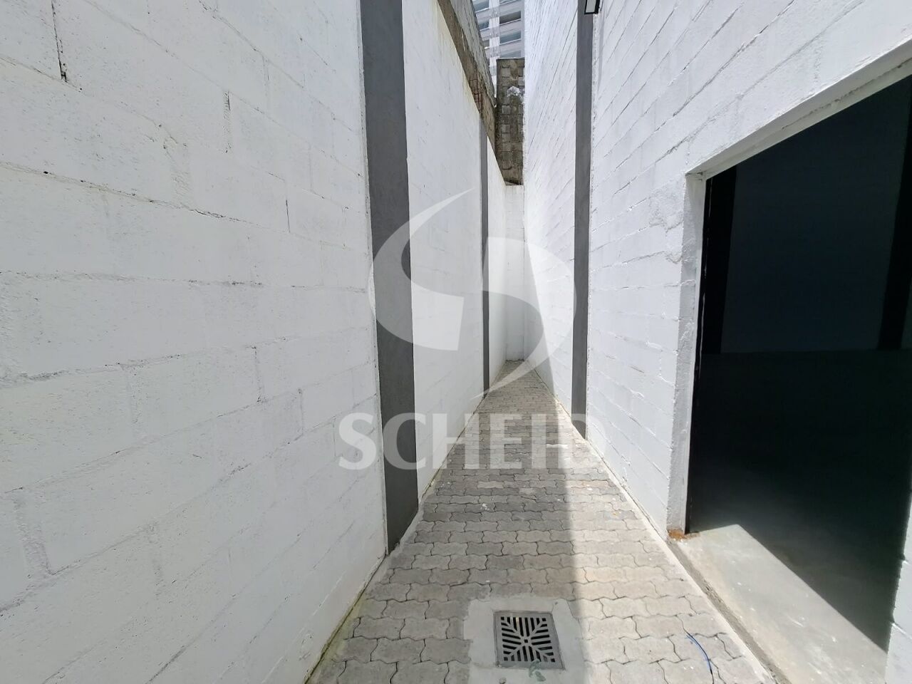 Foto 19