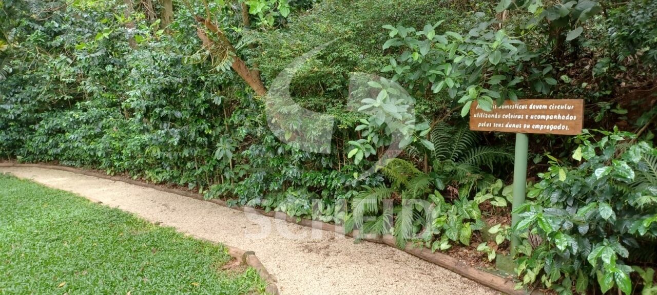 Foto 39