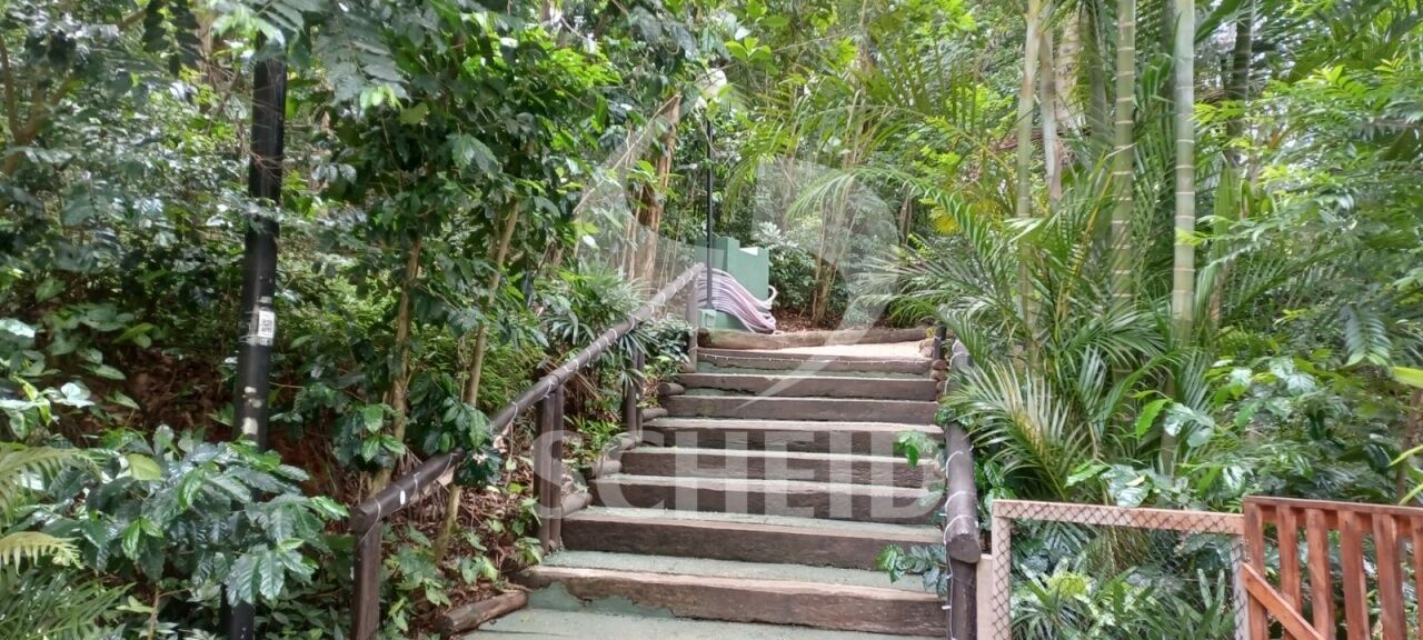Foto 38