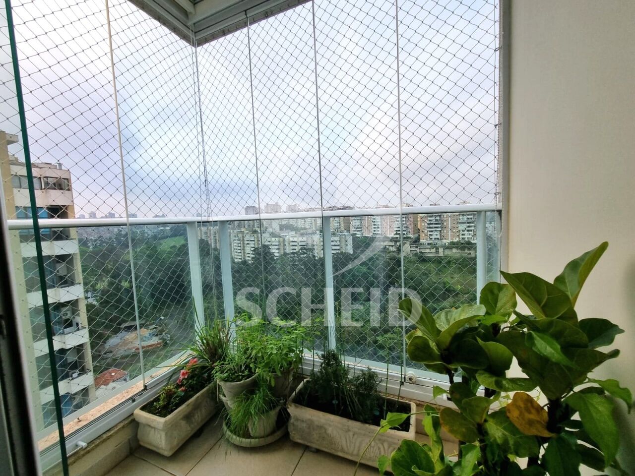 Foto 8