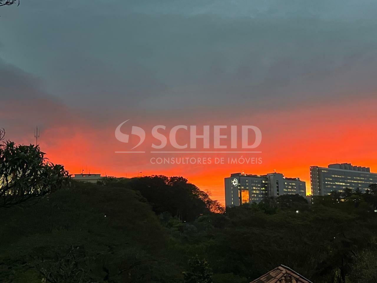 Foto 48