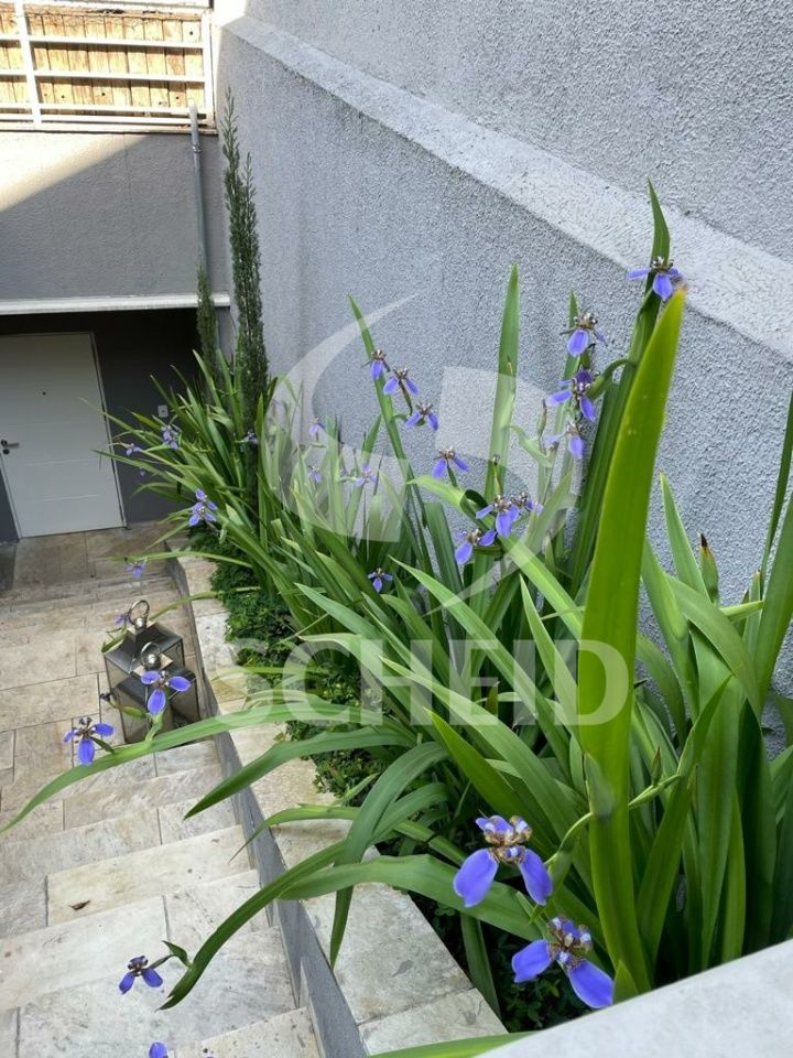 Foto 31