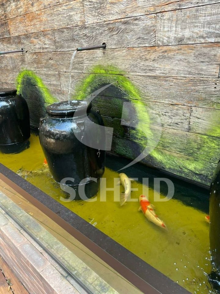 Foto 11