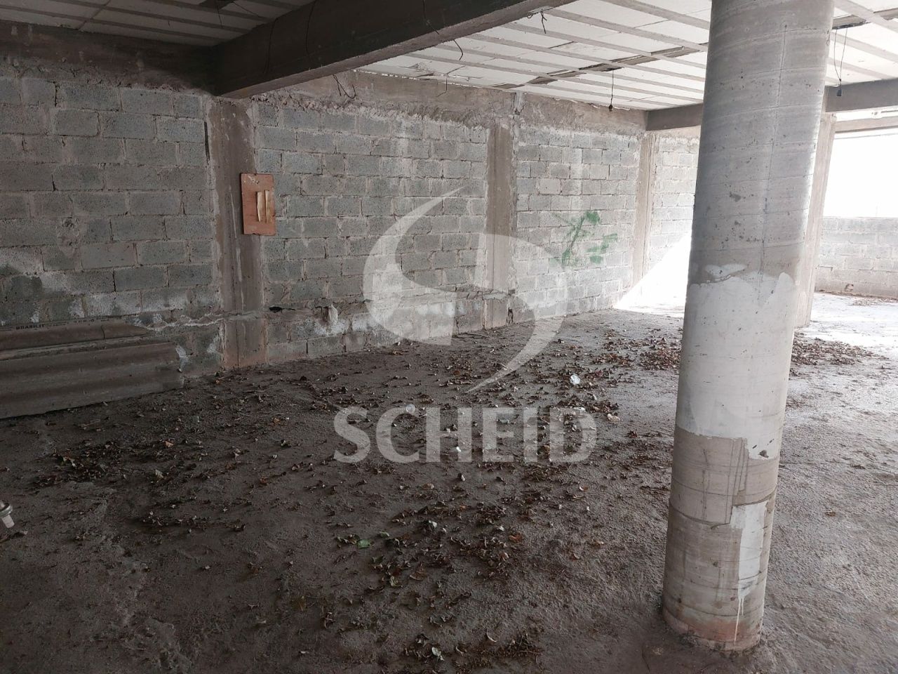 Foto 6