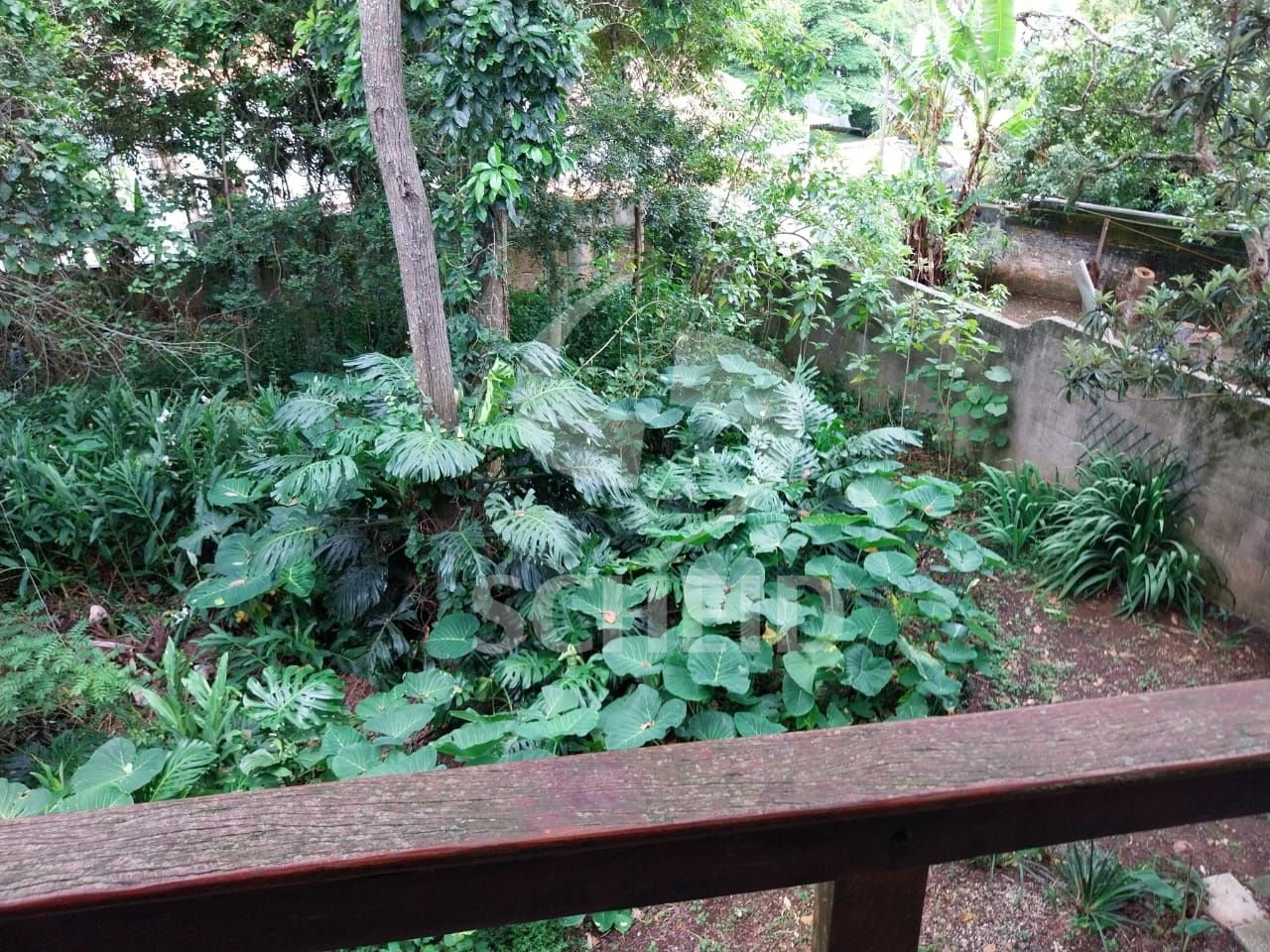 Foto 24