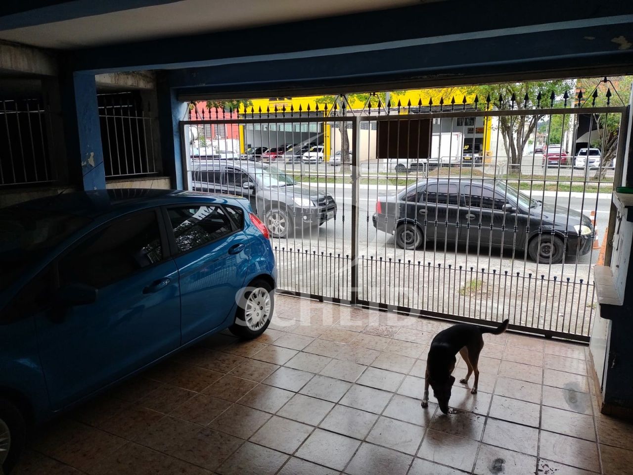 Foto 6