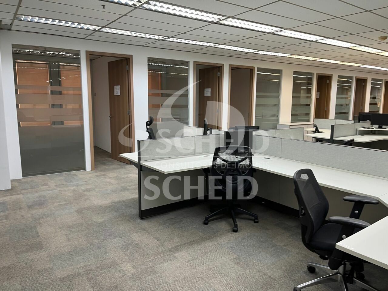 Foto 14