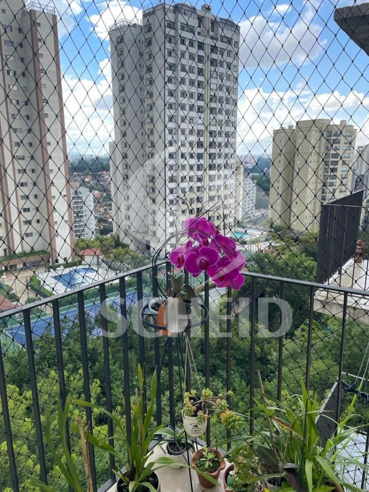 Foto 10