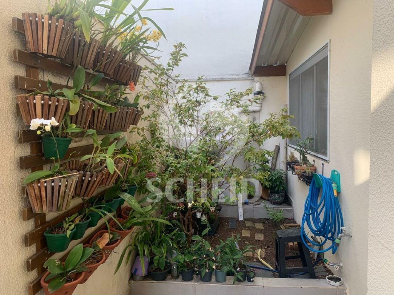Foto 11