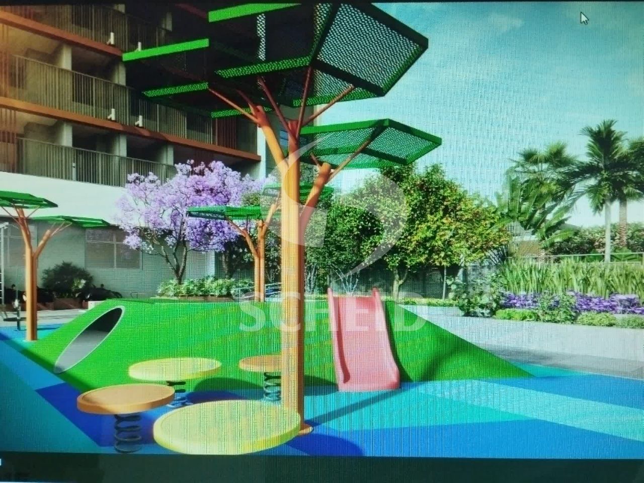 Foto 5
