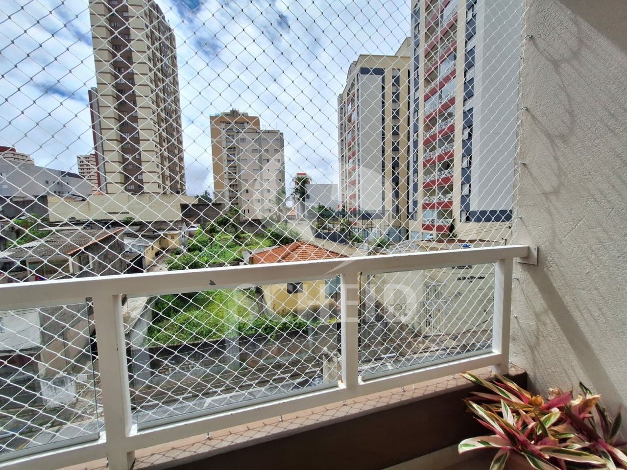 Foto 27
