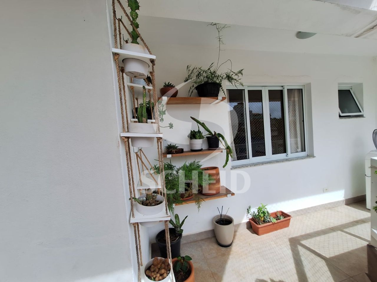 Foto 21