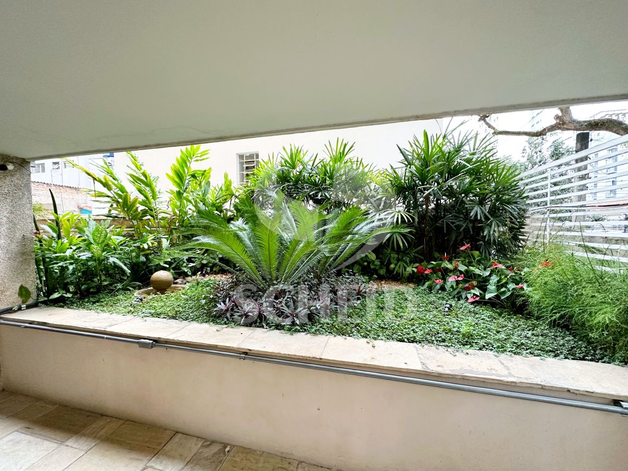 Foto 41