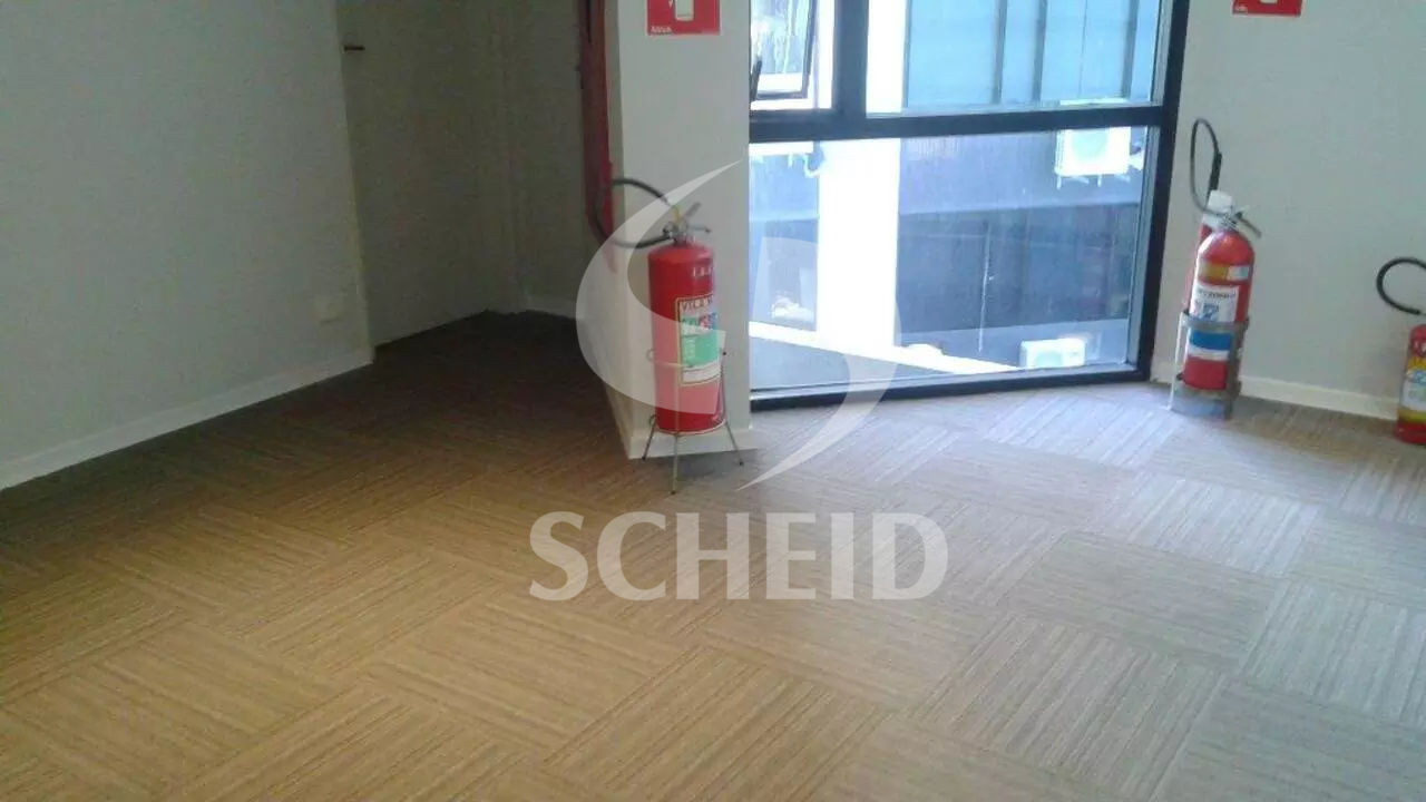 Foto 7