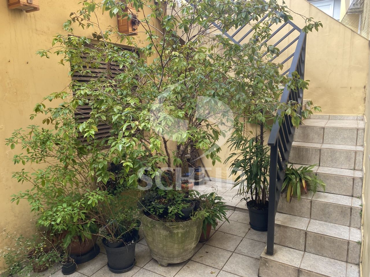 Foto 25