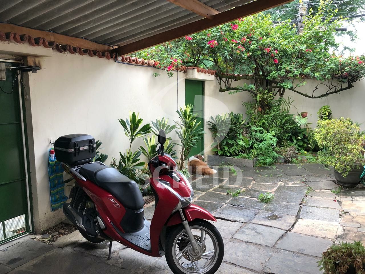 Foto 22