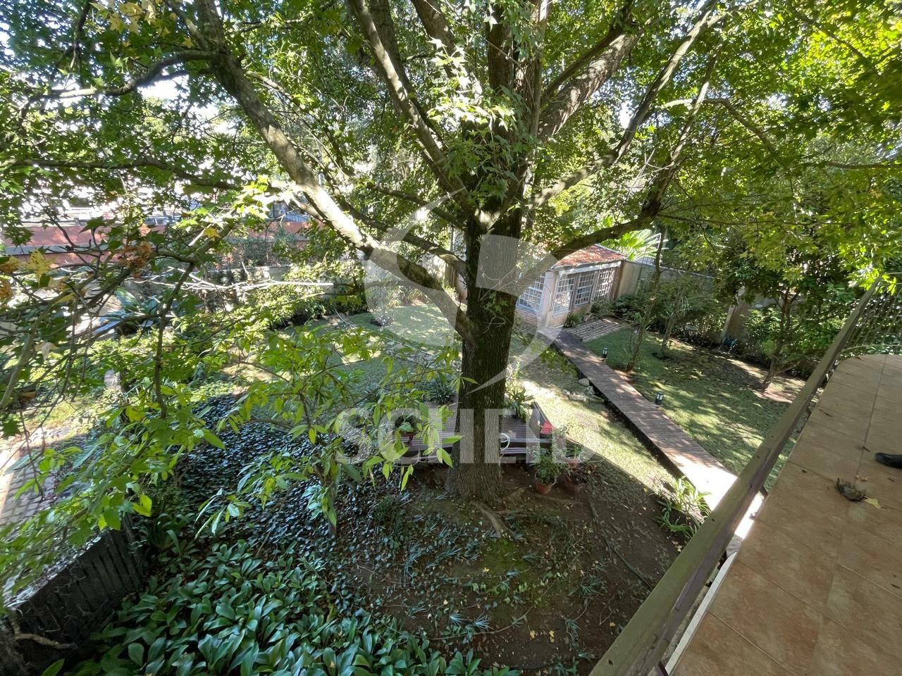 Foto 37