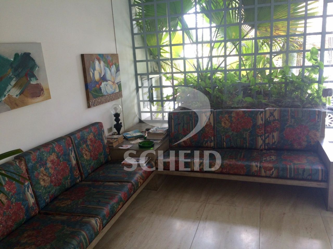 Foto 6