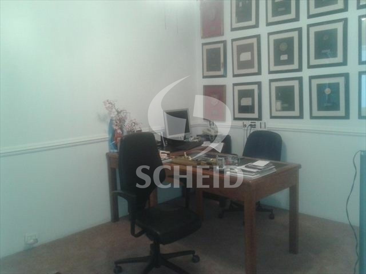 Foto 11