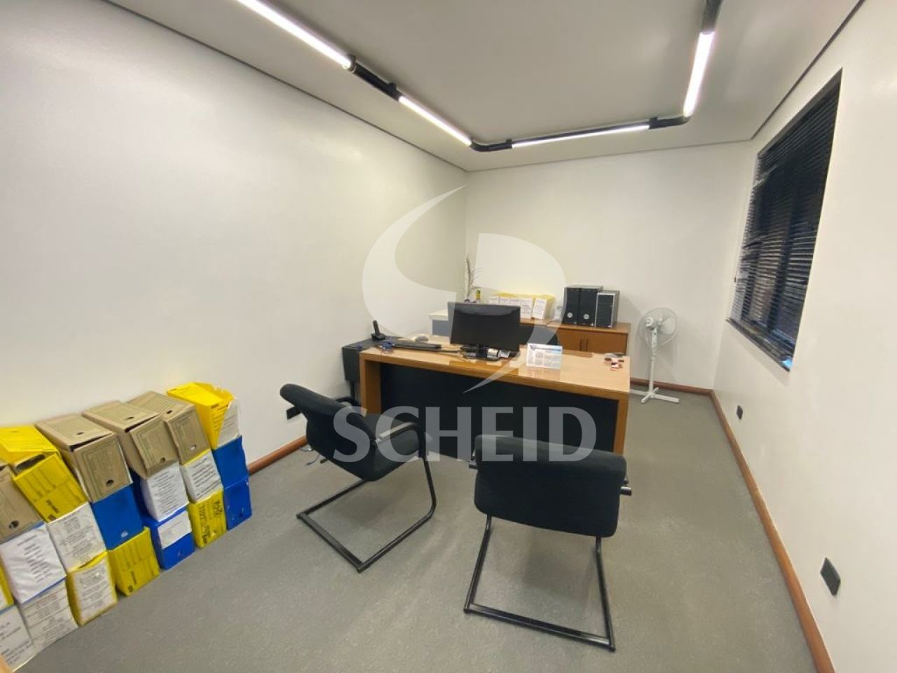 Foto 1