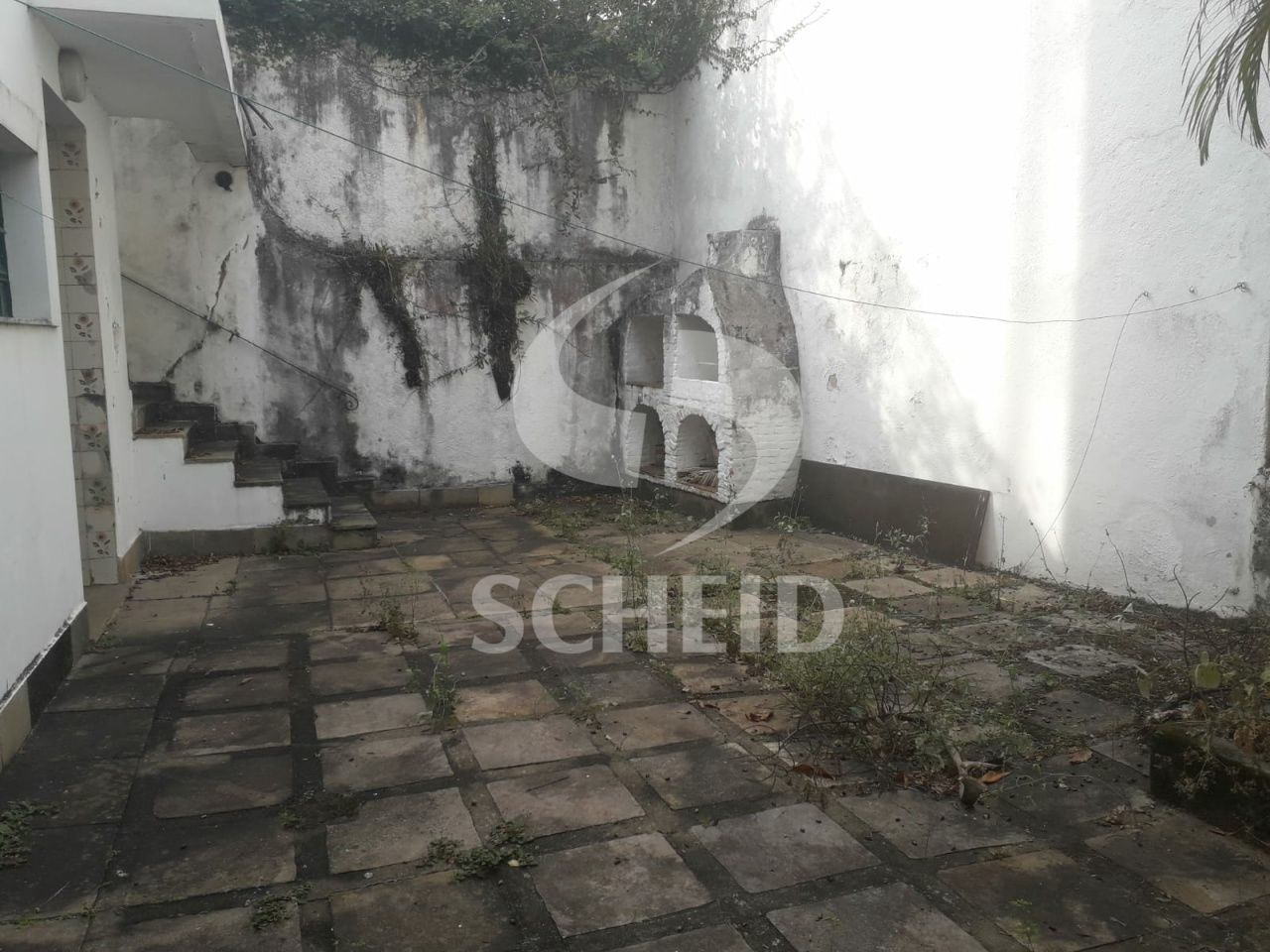 Foto 19