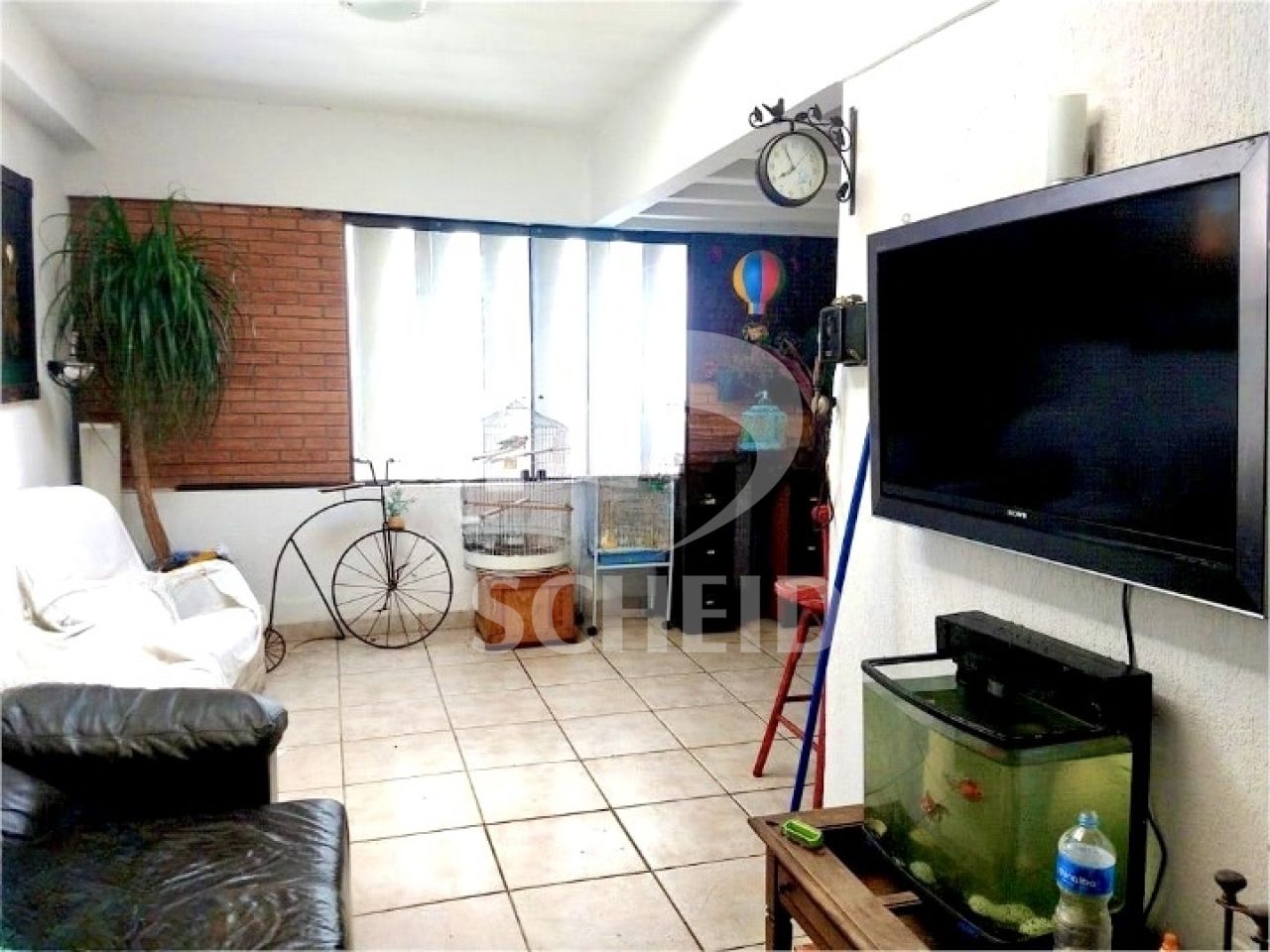 Foto 11