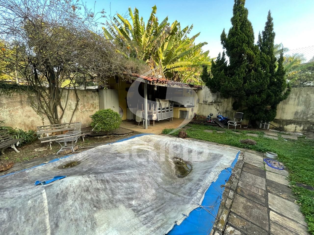 Foto 24