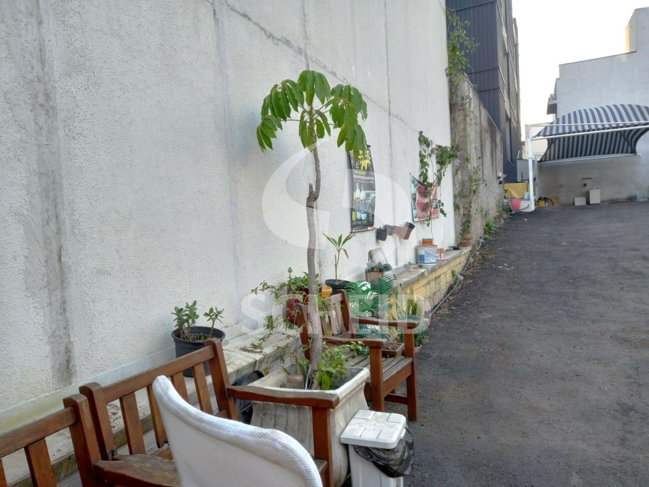 Foto 10