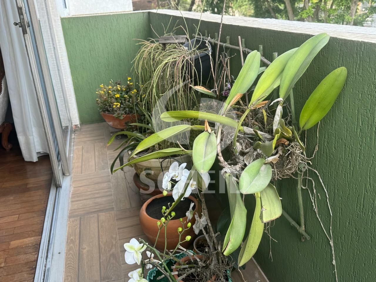 Foto 14
