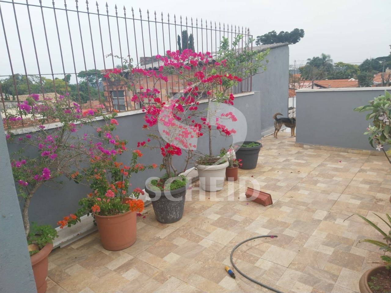 Foto 16