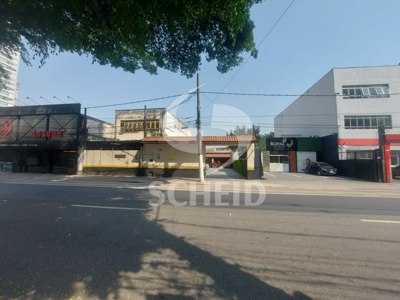 Foto 6