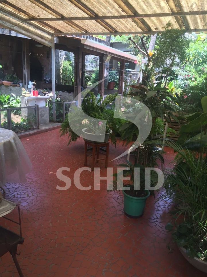Foto 19