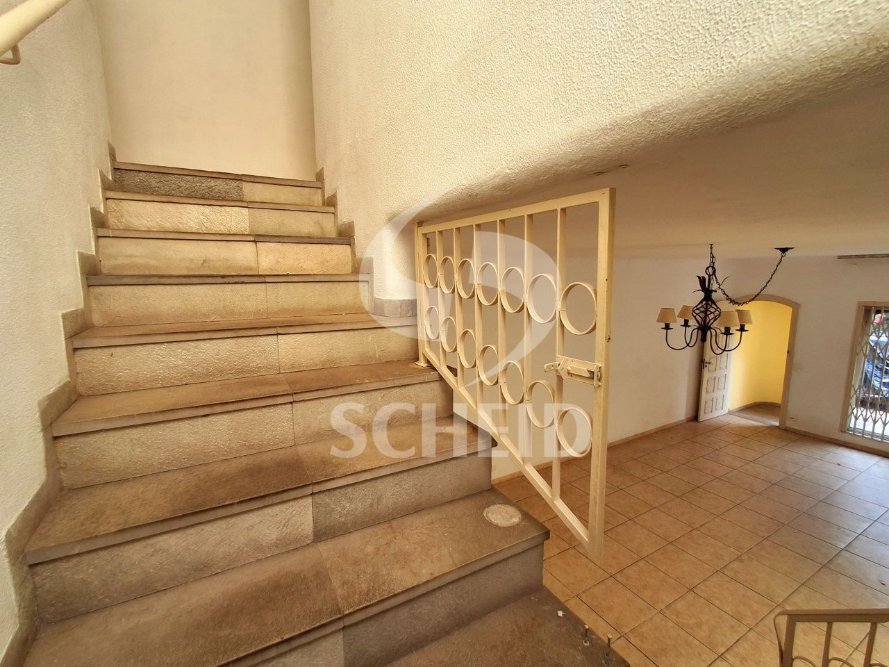 Foto 20