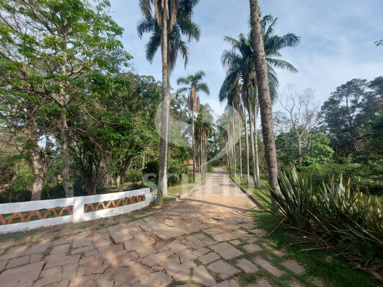 Foto 11